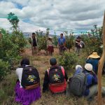 XXIX Encuentro Regional de la Plataforma de Suelos para una Agricultura Sostenible