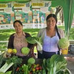 La Asociación Agroecología y Fe participa en la Feria Elemental y promueve alternativas para una alimentación sana